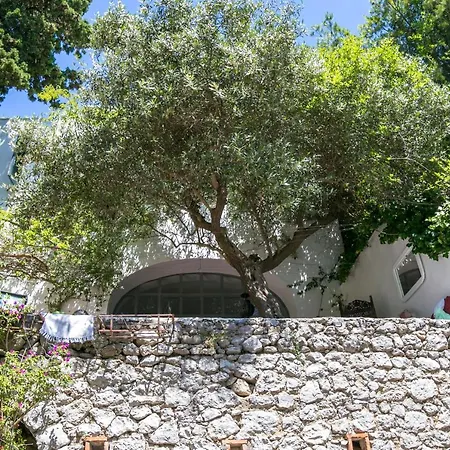 Apartment Wonderful Panoramic 4 Bed In